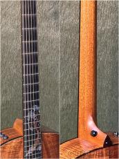 Taylor 【Hand Selected】BTO Custom Gold Label SA Quote #C0924 -AA Grade Hawaiian Koa- #1202196089_8