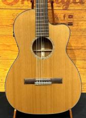 Martin 【USED】CTM 000C-16SGTNE 【2011年製】【エレガット】