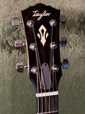 Taylor Gold Label 517e Natural #1206035039 【48回迄金利0%対象】【送料当社負担】_4