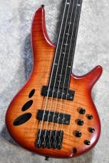 Ibanez SRD905F-BTL Fretless -Brown Topaz Burst Low Gross- 【2025年製/中古】【軽量3.51kg】【5弦】