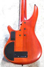 Ibanez SRD905F-BTL Fretless -Brown Topaz Burst Low Gross- 【2025年製/中古】【軽量3.51kg】【5弦】_7