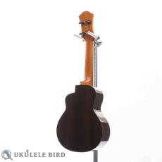 aNueNue aNN-US200 Soprano_11