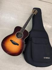 YAMAHA LS-TA ARE BS トランス アコースティック!