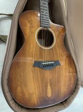 Taylor 224ce-K DLX ハワイアンコア材仕様!ES-2 ピックアップ!_2