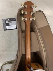 Taylor 224ce-K DLX ハワイアンコア材仕様!ES-2 ピックアップ!_9