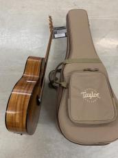 Taylor 224ce-K DLX ハワイアンコア材仕様!ES-2 ピックアップ!_11