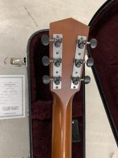 Waterloo by Collings WL-14XTR L.R Baggs Lyric ピックアップ付き!_10