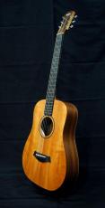 Taylor Baby Taylor BT2e Mahogany_3