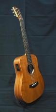 Taylor Baby Taylor BT2e Mahogany_4