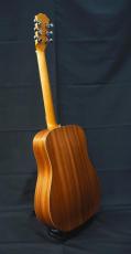 Taylor Baby Taylor BT2e Mahogany_6