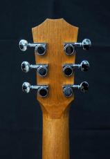 Taylor Baby Taylor BT2e Mahogany_10