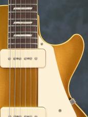 Bizen Works Burned 56 STD Gold Top_7