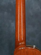 Bizen Works Burned 56 STD Gold Top_13