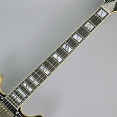 D'Angelico Deluxe Brighton Vintage Sunburst_4