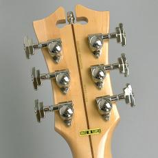 D'Angelico Deluxe Brighton Vintage Sunburst_10