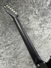 FREEDOM CUSTOM GUITAR RESEARCH 【決算セール】C.S TE Pepper Semi Solid (Black Pepper)  -Black- 【2026'USED】_6