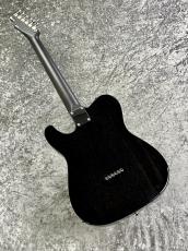 FREEDOM CUSTOM GUITAR RESEARCH 【決算セール】C.S TE Pepper Semi Solid (Black Pepper)  -Black- 【2026'USED】_7