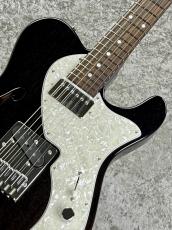 FREEDOM CUSTOM GUITAR RESEARCH 【決算セール】C.S TE Pepper Semi Solid (Black Pepper)  -Black- 【2026'USED】_9