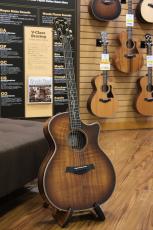 Taylor K24ce / Shaded Edge burst