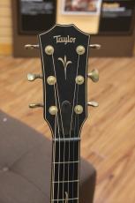 Taylor K24ce / Shaded Edge burst_5