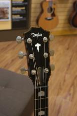 Taylor 818e V-Class / Antique Blonde_5