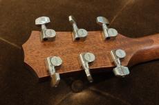 Taylor 312ce_6