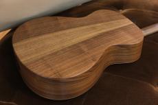 Taylor AD12e-SB_2
