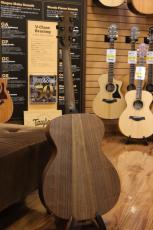 Taylor AD12e-SB_9