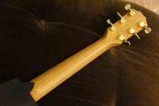 Taylor 222ce-K DLX_4