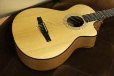 Taylor 112ce-Nylon 【エレガット】【ナット幅細め】
