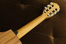 Taylor 112ce-Nylon 【エレガット】【ナット幅細め】_4