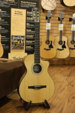 Taylor 112ce-Nylon 【エレガット】【ナット幅細め】_8