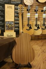 Taylor 112ce-Nylon 【エレガット】【ナット幅細め】_9