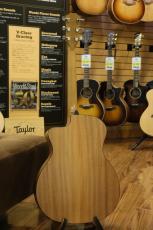 Taylor 114ce【エレアコ】【現物写真】_10