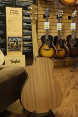 Taylor 112ce_10