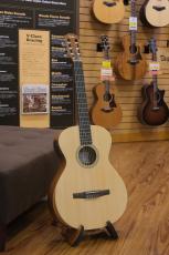 Taylor Academy12e-Nylon
