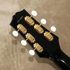 Greco GES-AT, Black_5