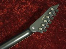 E-II HORIZON NT-II See Thru Black Sunburst_7