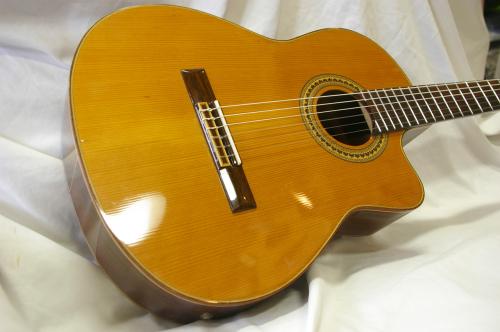 Barclay #45E