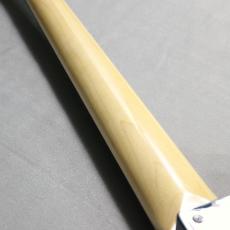 FUJIGEN NJB200RAL-BG #H250134【Elixir弦プレゼント!】_7