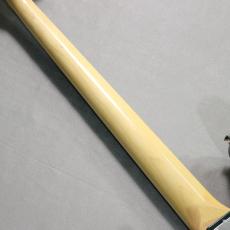 FUJIGEN NJB200RAL-BG #H250134【Elixir弦プレゼント!】_8