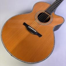 HISTORY NT-301CA
