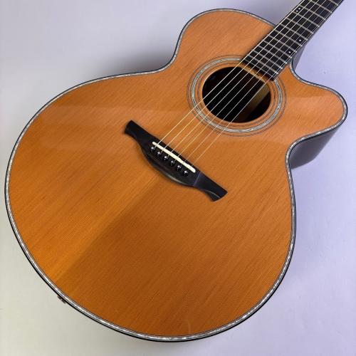 HISTORY NT-301CA