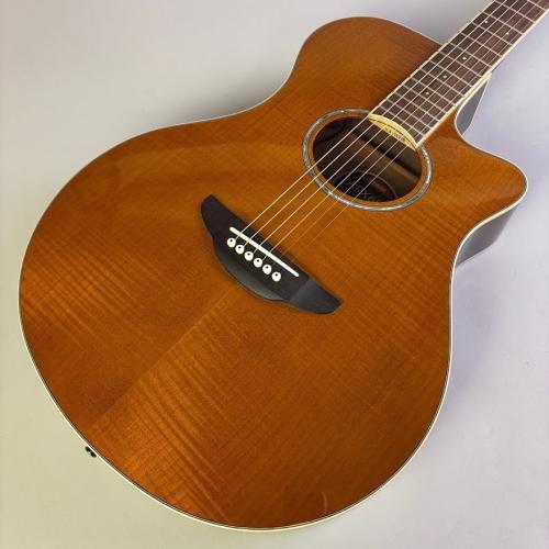 YAMAHA APX600