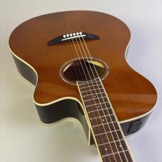 YAMAHA APX600_9