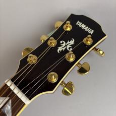 YAMAHA APX1000_4