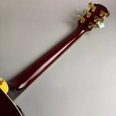 YAMAHA APX1000_6