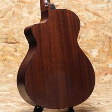 Taylor 312ce-N_2