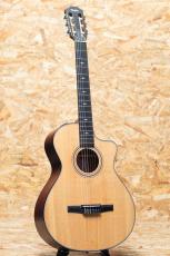 Taylor 312ce-N_3