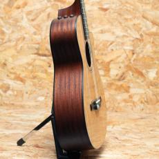 Taylor 312ce-N_4